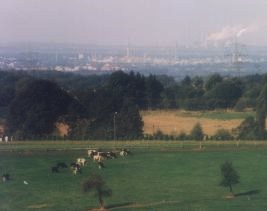Landschaft